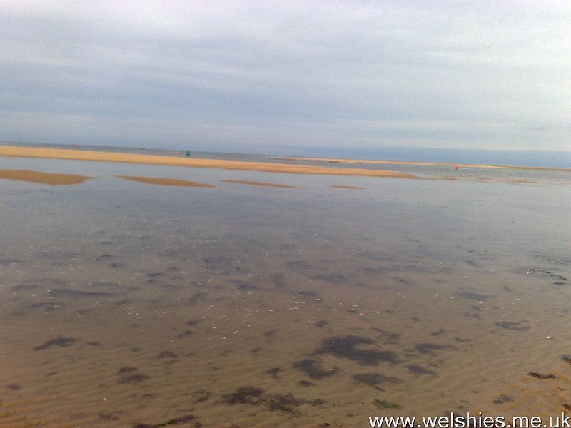 2011-09-09 35.jpg